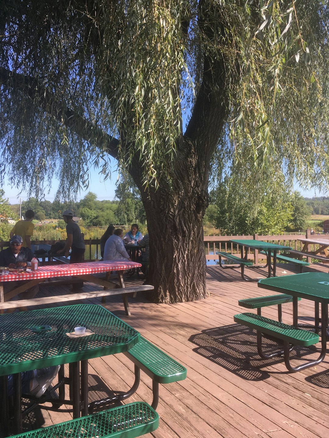 Diverse group enjoys outdoor picnic lunch by the water.
